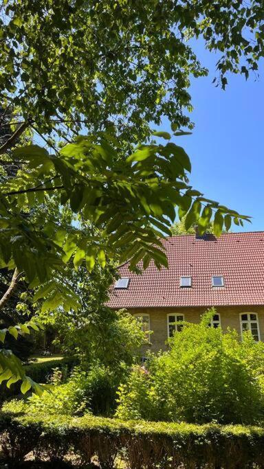 Idyllisches Appartement Nahe Ostsee Und Schlei Rabenkirchen-Faulueck Exterior photo